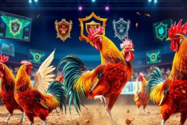 Daftar situs judi sabung ayam online